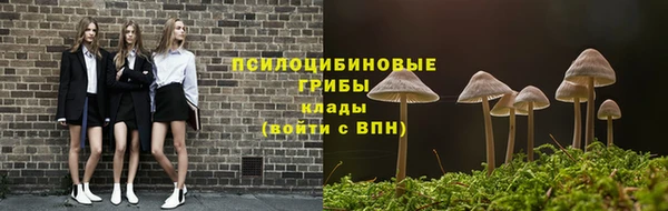 не бодяженный Алексин