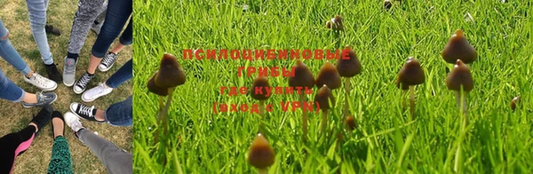 марки nbome Алзамай