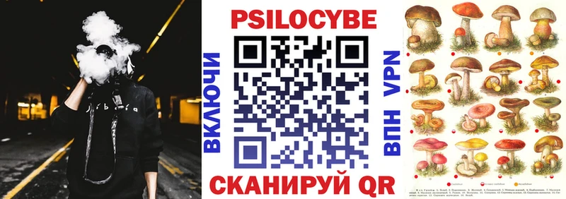 Псилоцибиновые грибы Cubensis  закладки  Хотьково 